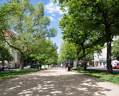 Baumbestand an der Schillerpromenade